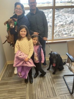 Dog Star & Mitchell Subaru Host Pet Adoption