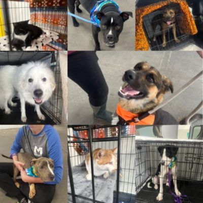 🐾 *Baby's Sweet New Beginning: Love After a Lifetime of Waiting* 💕