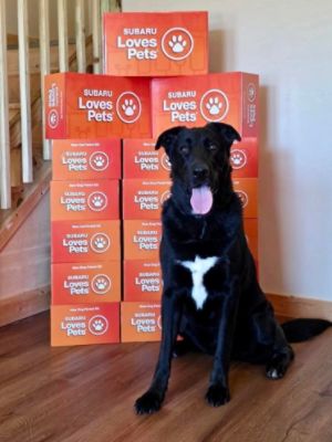 Dropped off New Pet Parent kits to the Center For Animal Health and Welfare!