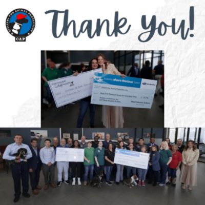 West Houston Subaru Isn't Just a Partner–They're Heroes To Our Animals 