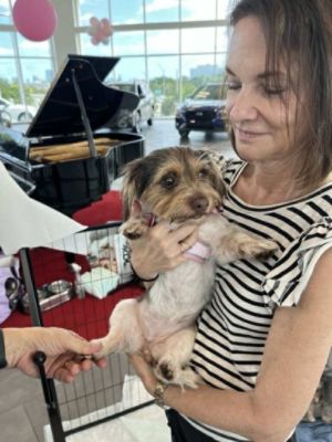 Fifth Annual 'Fall in Love' Adoption Event Success