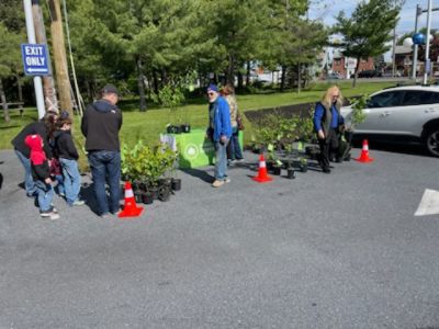 Arbor Day