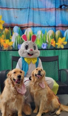 Photos with the Easter Bunny 