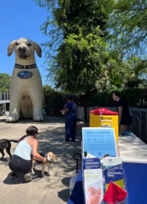 Bryan Subaru supports Tulane Baseball's Bark in the Park, 2025