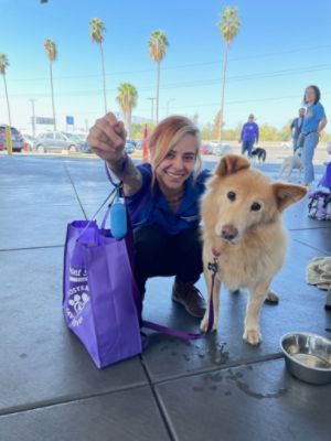 Sunset finds her forever home with Maita Subaru Team Member 