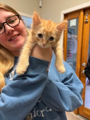 Profile Loves Pets 2025!