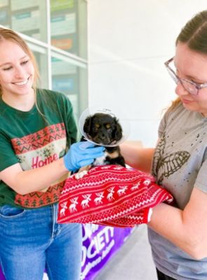 Tucson Subaru Supports Home for the Pawlidays Adoption Event