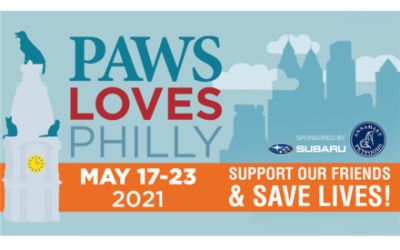 Helping Philly's Pets & the People Who Love Them