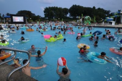 Dive into fun!