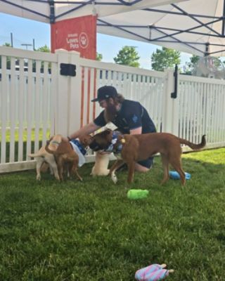 How Concordville Subaru Helps TLC Rescue Save More Dogs