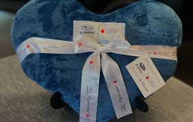 Brown Subaru Loves to Care