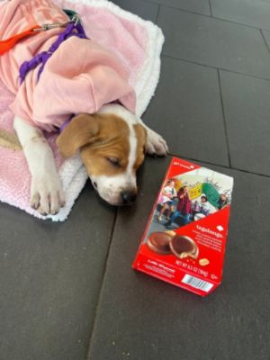 Out of the Pits and into your hearts!