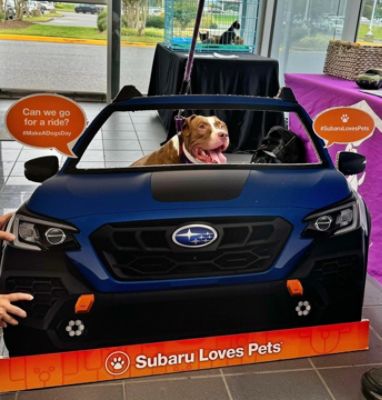 Subaru Loves Pets