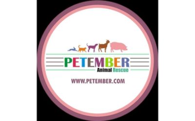 partnerCompanyName