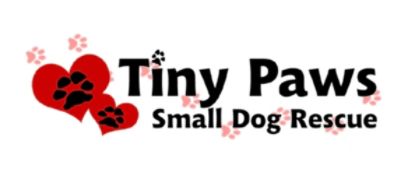 Tiny Paws Small Dog Rescue
