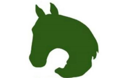 partnerCompanyName