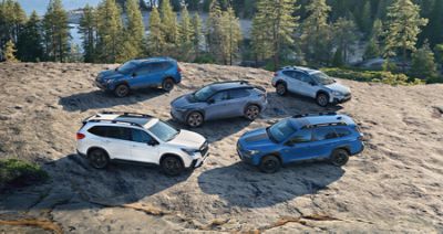 Subaru Lineup - Latest Models & Discontinued Models