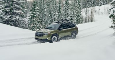 standard-symmetrical-awd