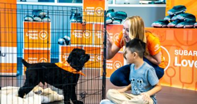 More than a Pet Charity: Connecting People & Pets