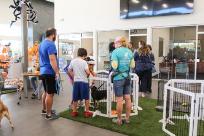 North Park Subaru & the Animal Defense League Hosted A Halloween Wooftacular Adoption Event