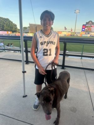 Bark in the Park 