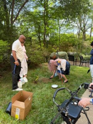 Growing Community, One tree at a time!