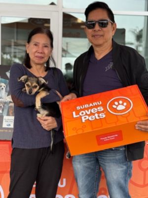 Subaru Loves Pets Adoption Event at Subaru Pacific 10/2025