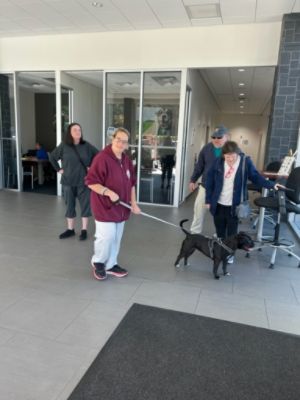 Subaru Loves Pets - SPCA Adoption Event 