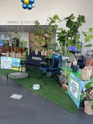 Arbor Day Tree Distribution At Subaru Santa Monica
