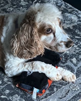 Slide 1