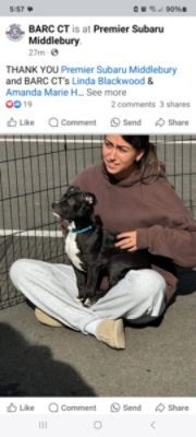 BARC Adoption Event