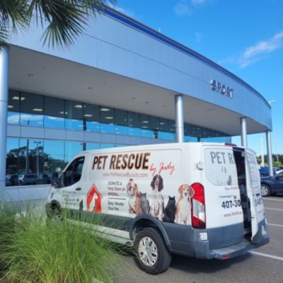 Subaru Loves Pets: Sport Subaru Hosts October Adoption Event with Pet Rescue by Judy