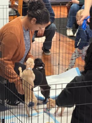 Gresham Subaru Loves Pets!