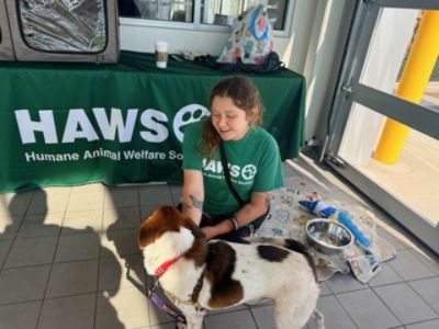 Wilde Subaru Pet Adoption Event
