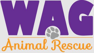 Wag Animal Rescue