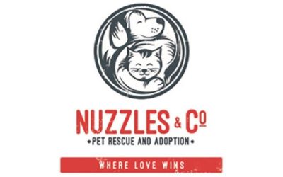 partnerCompanyName