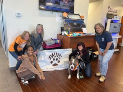 Empire Subaru x Subaru Loves Pets