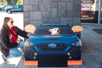 Fitzgerald Subaru of Gaithersburg Loves HRA Pets!