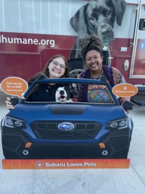 How a Sterling Subaru Adoption Event Finally Sealed the Deal for Cooper!