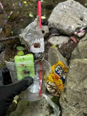 Earth Day Cleanup
