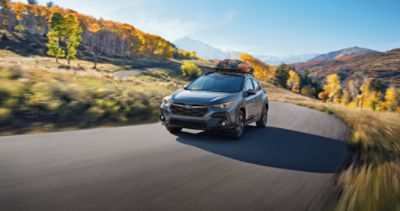 White 2025 Subaru SUV parked outside of brick industrial building with palm trees and succulent landscaping