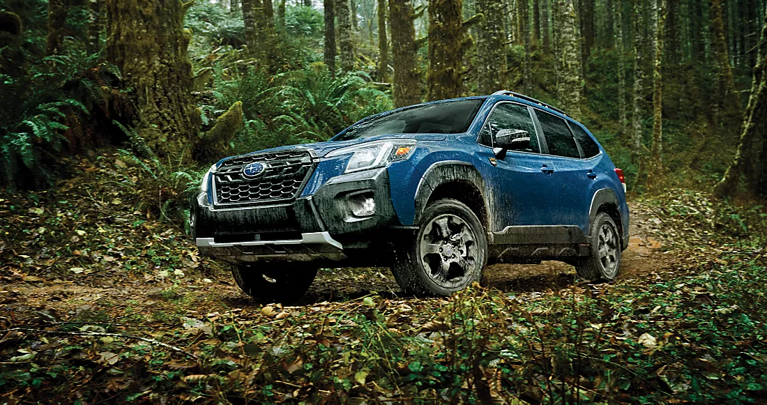  2024 Blue Subaru wilderness forester off-roading in heavy forest terrain 