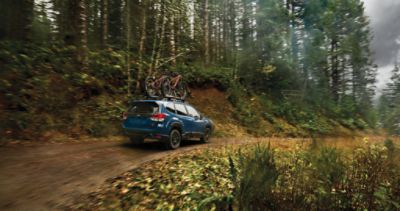 Subaru Forester 2019: Características, fotos y toda la información
