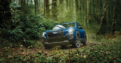 2024 Subaru Forester Wilderness: The Adventure-Ready, All-Terrain SUV