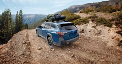 2024 Subaru Outback Wilderness