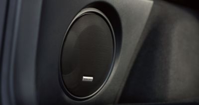 Subaru store outback subwoofer