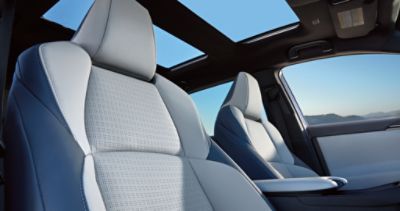 Touring interior shown in Gray and Blue StarTex®