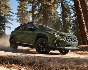 Ascent Wilderness….? | Subaru Ascent Forum