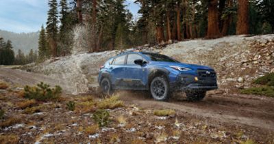 Exterior of the Subaru Crosstrek at Hallmark Subaru in Birmingham, AL
