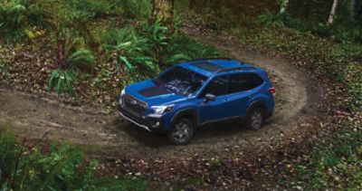 2025 Subaru Forester Wilderness Edition | Subaru